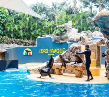 Почивка в Испания - остров Тенерифе, директни чартъри от София - ALUA 4*